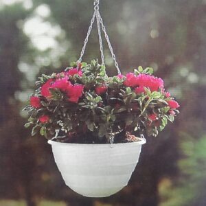 Vaso AQUAPLANT-eco design