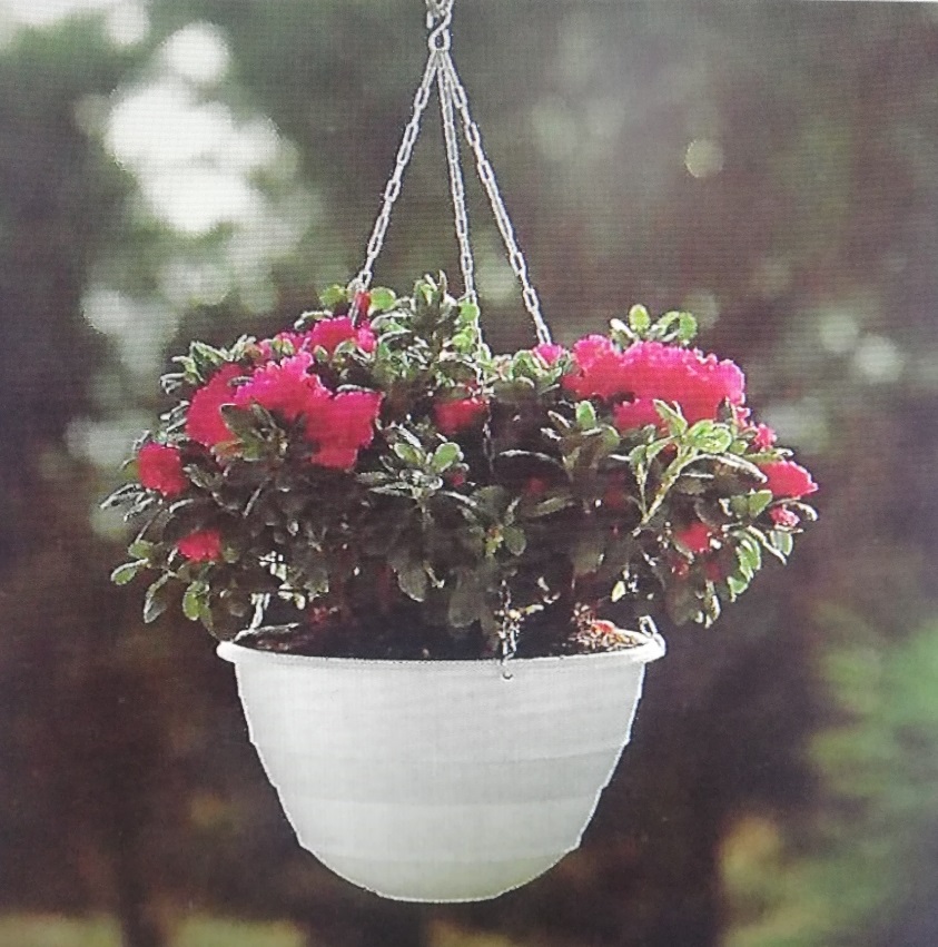 Vaso AQUAPLANT-eco design